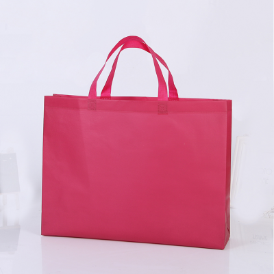 EPB003  Design non-woven bag Customized green tote bag Supply green bag Eco bag manufacturer Eco bag price front view